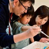 「ビッグダルマ落とし」や「カラフル試験管」　 千葉市科学館で企画展、親子で楽しい実験挑戦　