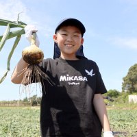 たまねぎ狩り今年も盛況　みずみずしさ甘さ味わう　千葉県内外で人気、来訪早めに！　白子