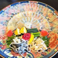 いすみ市特産・天然トラフグの刺身