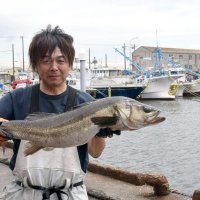 これから旬を迎える瞬〆のスズキ＝船橋漁港