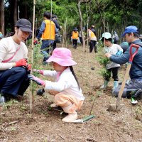 緑豊かな日向の森へ　１００人が植樹に汗　山武