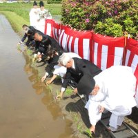 主基斎田で「お田植え祭」　明治神宮ゆかり、豊穣祈願　鴨川