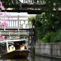 「十二橋めぐり」いかが？佐原商工女性会がツアー　香取で６月１８日