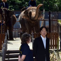秋篠宮さま、市原ぞうの国を視察　