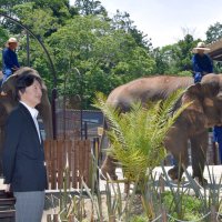 秋篠宮さま、市原ぞうの国ご視察　熱心に質問　動物の姿、興味深く