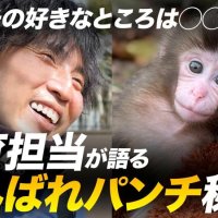 ４月２１日に市川市が公開した「がんばれパンチ」動画（同市提供）