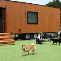 客室の庭では犬と自由に過ごすことができる
