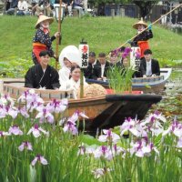香取市扇島の水郷佐原あやめパークで３１日、花婿と花嫁が和船「さっぱ舟」に乗り、晴れ姿をお披露目する恒例イベント「嫁入り舟」が行われた。新郎新婦はハナショウブが咲き誇る水路を舟で巡り、来園者から温かい祝福を受けた　中瀬健太撮影