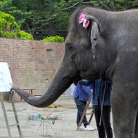 カーネーションとゾウを器用に描くゆめ花＝３日、市原ぞうの国