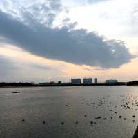 谷津干潟
