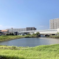 谷津船だまり