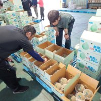 初出荷する飯岡メロンを確認する生産者ら